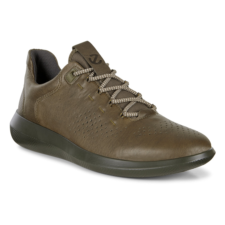 

Кроссовки SCINAPSE, Разноцветный, SCINAPSE