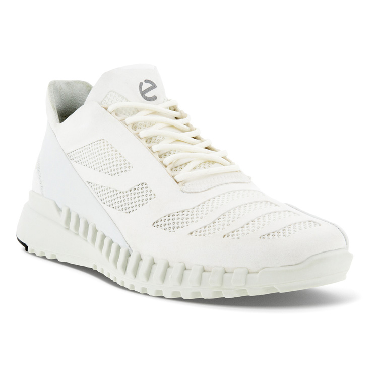 Мужские кроссовки ECCO (ЭККО) Кроссовки ZIPFLEX M