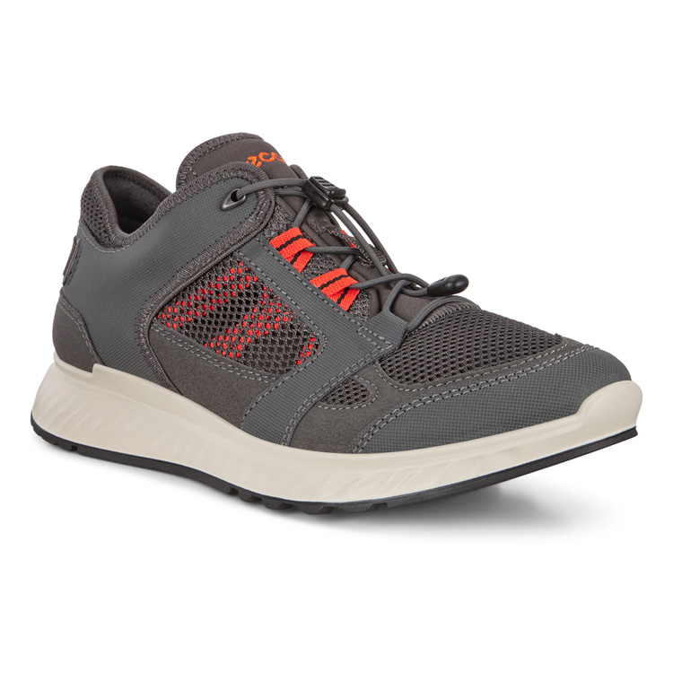 Мужские кроссовки ECCO (ЭККО) Кроссовки EXOSTRIDE M