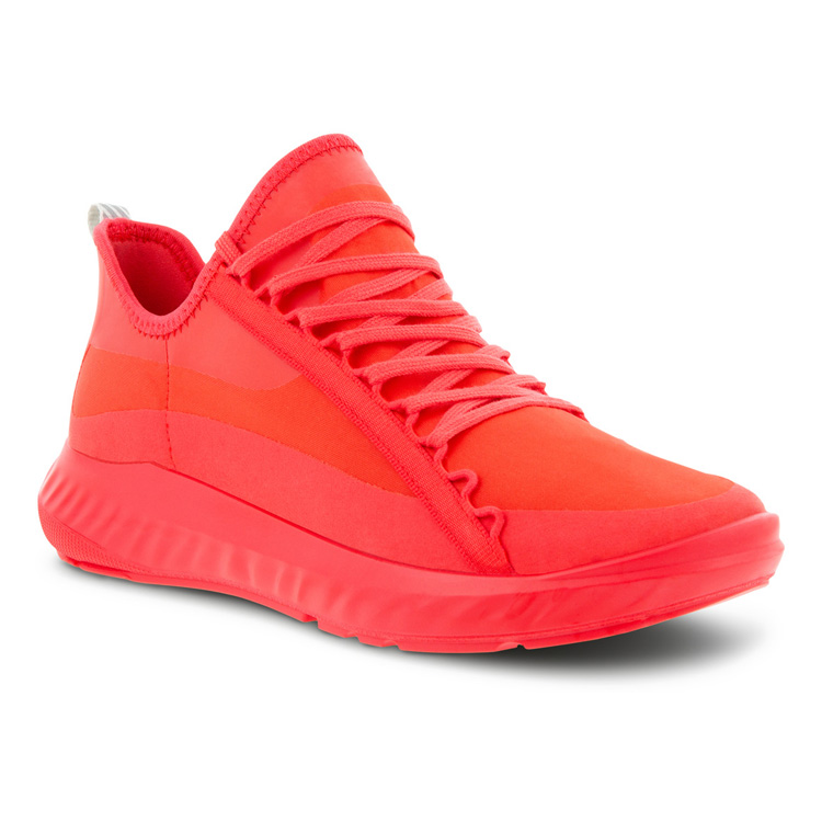 Женские кроссовки ECCO (ЭККО) Кроссовки ST.1 LITE W